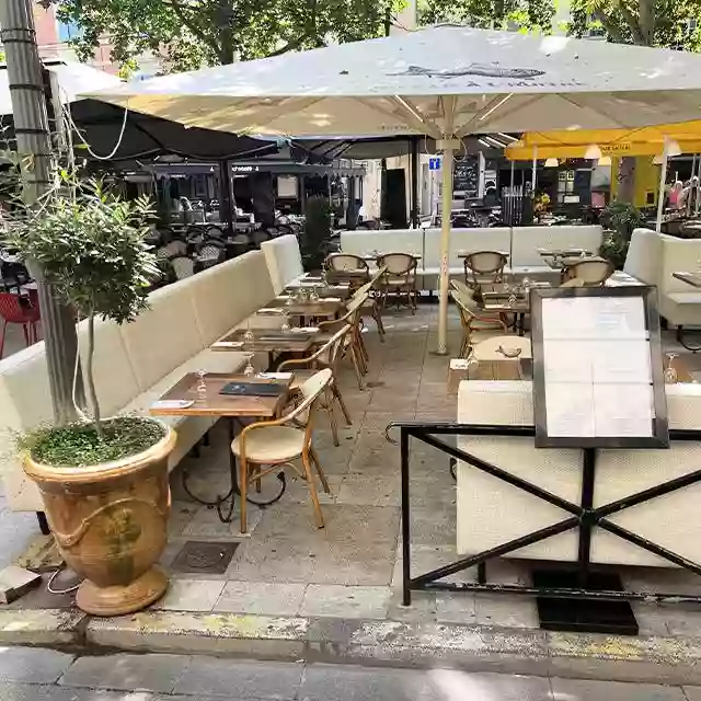 Du Bar à l'huitre - Restaurant Arles - Restaurant poisson Arles