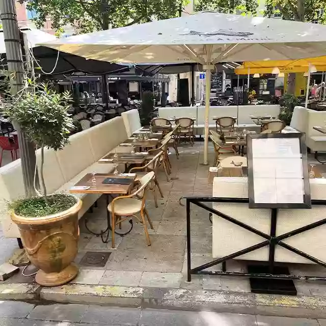 Du Bar à l'huitre - Restaurant Arles - Restaurant terrasse Arles